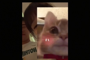 开云下载-女网友晒与王俊杰遮脸合照评论区沦陷 网友猜测是其女友但被否认